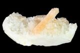 Peach Stilbite Crystal Cluster on Quartz - India #153187-1